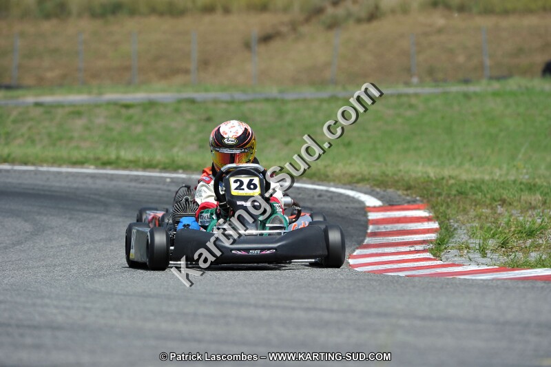 DSC_ (435).jpg